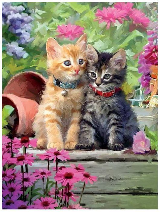 Malowanie Po Numerach Kotki Koty Obraz z Ramą 40x50