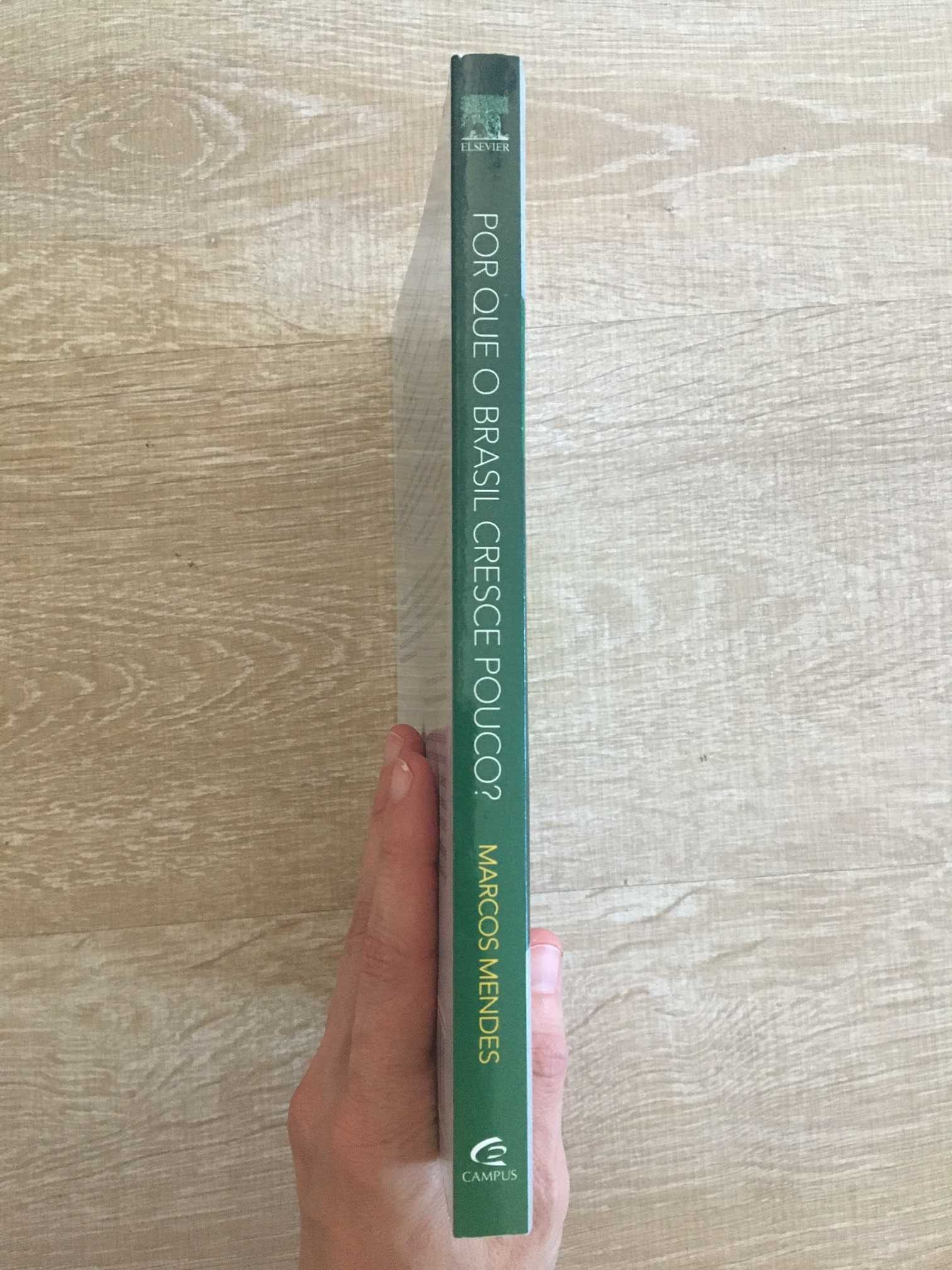 Por que o Brasil Cresce Pouco?