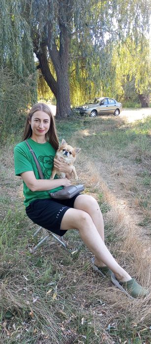 Жених Чихуа Хуа горячий мужчина