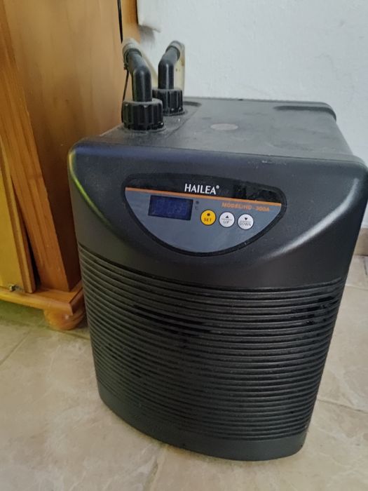 Aquários água salgada