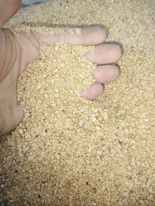 DDGS Kukurydziany, Śruta Sojowa, Śruta Rzepakowa