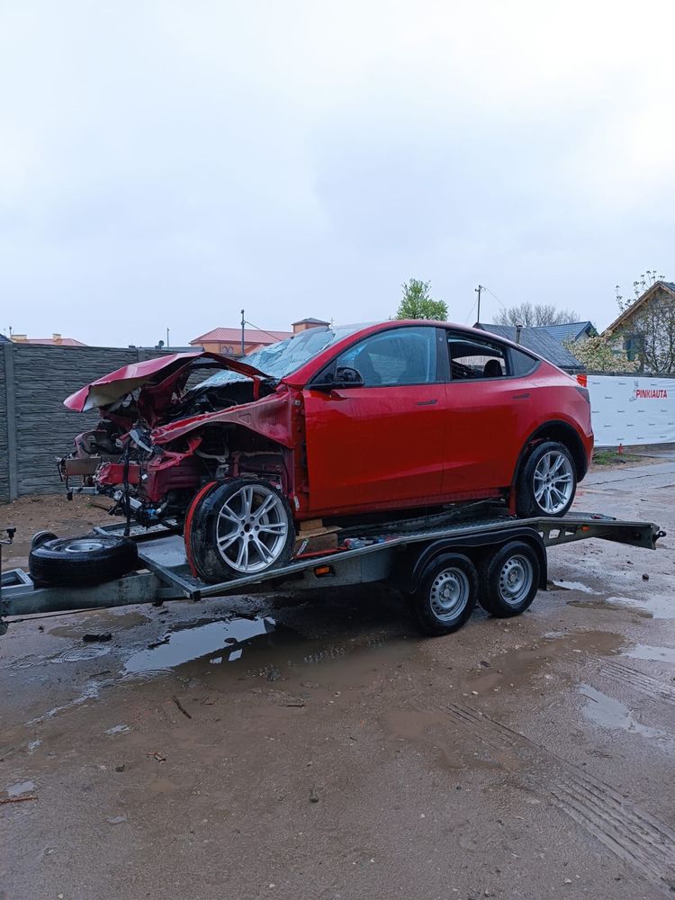Двері tesla model Y