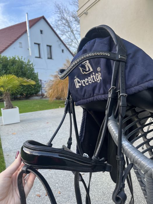 Ogłowie ujeżdzeniowe anatomiczne ANKY