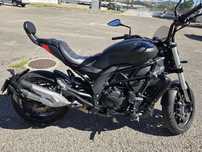 Benelli 502c 2019