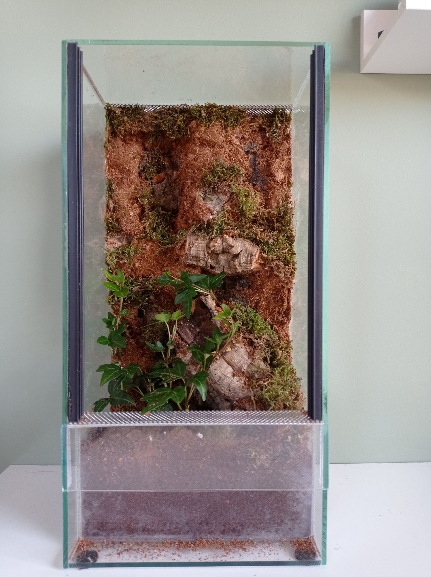 Terrarium 20x20x40 ze ścianką