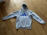 Bluza męska adidas Mens Essentials Hoodie szara