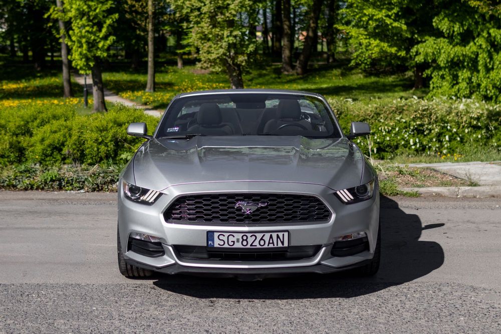 Wynajem aut wypożyczalnia Mustang 3.7 V6 cabrio PROMOCJA 30dni 4990!