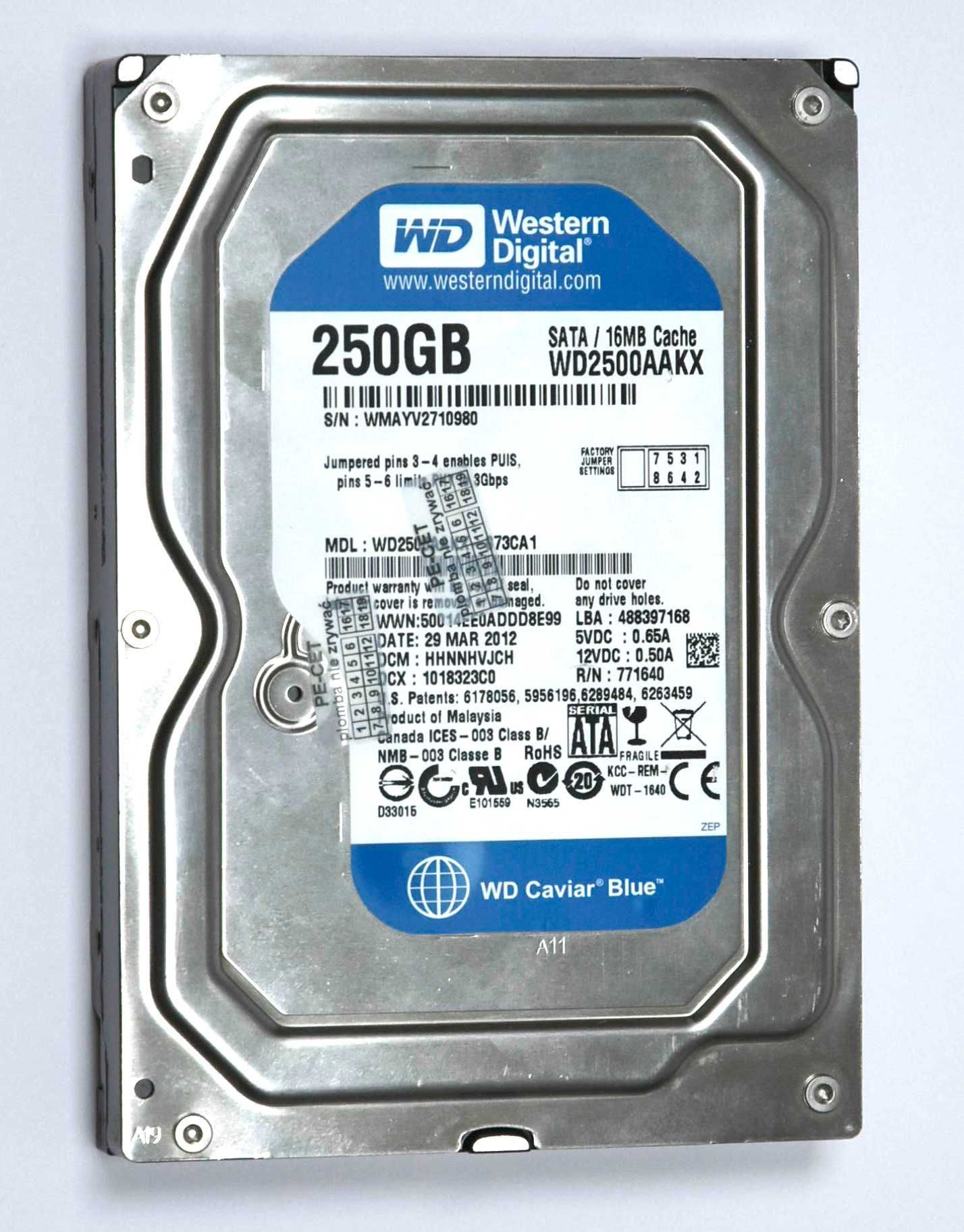 Dysk twardy HDD WD 250 GB