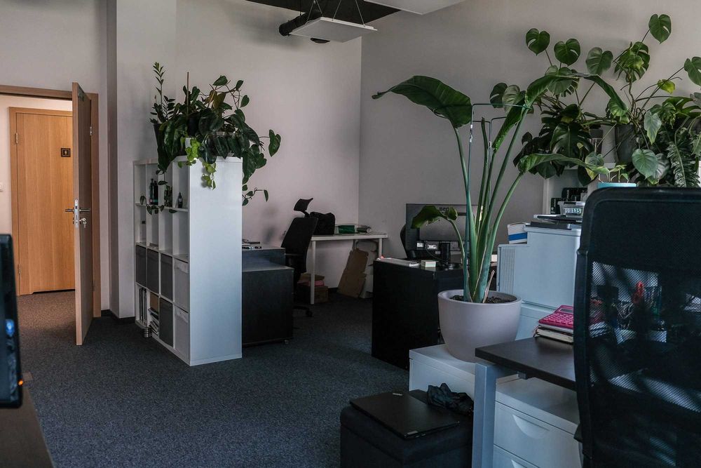 Biuro 246 m² – gotowe do pracy od zaraz | przy Moście Siekierkowskim