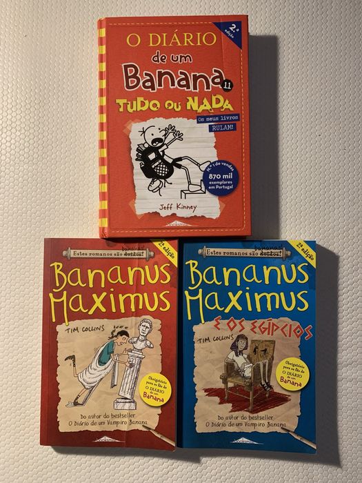 Juvenile Book Collections (The Twins; Diary of a Wimpy Kid and More)64563999100545121