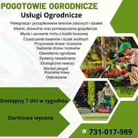 - Usługi Ogrodnicze Kujawsko - Pomorskie