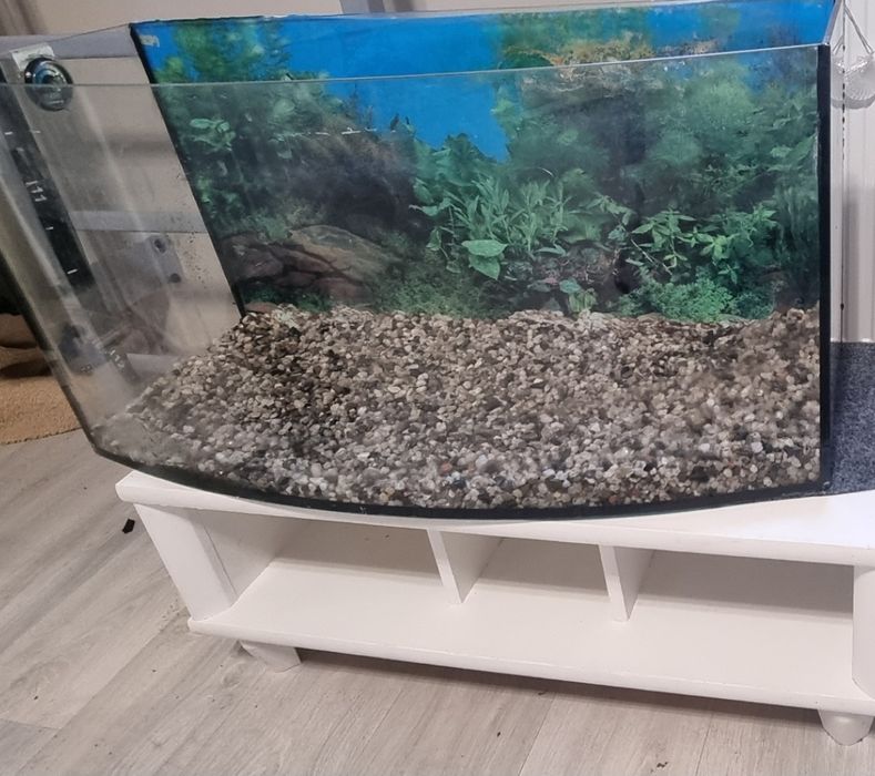 Akwarium 120L z szafką i ozdobami