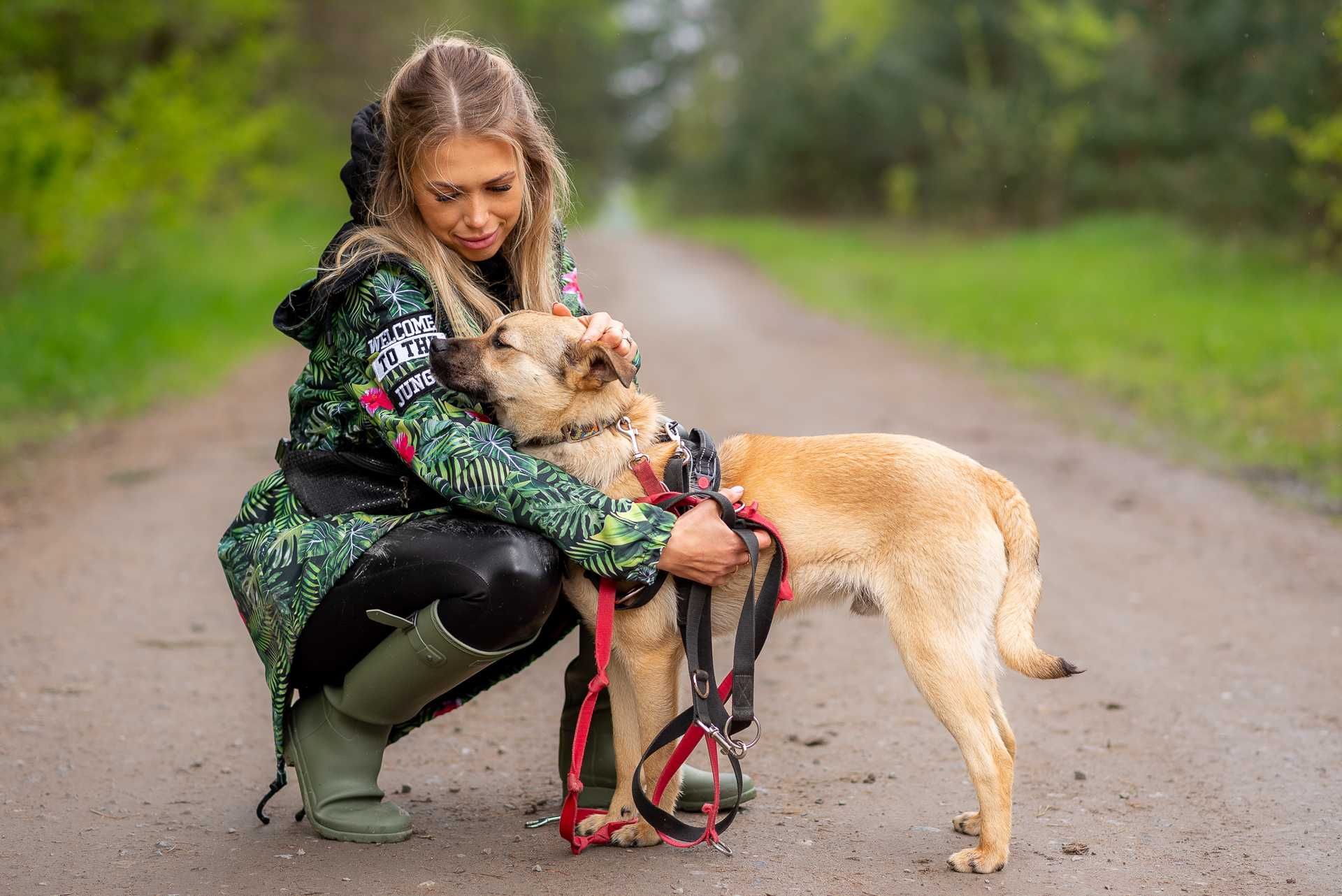 ELNIS - fajny i młodziutki psi chłopaczek do adopcji