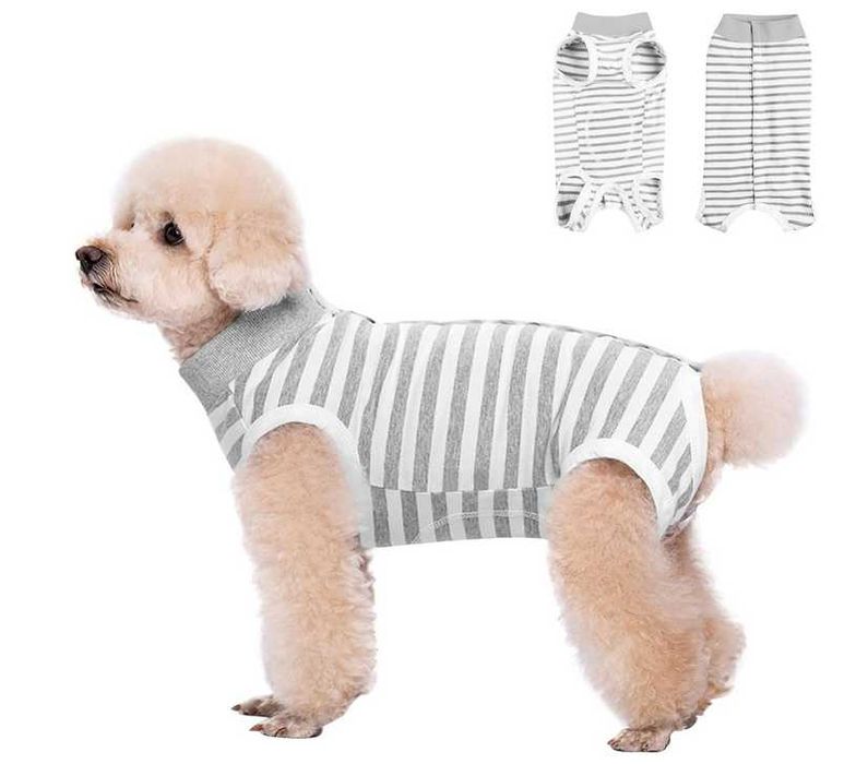 Kombinezon do rekonwalescencji dla psa r. S chirurgiczny Body Ubranko