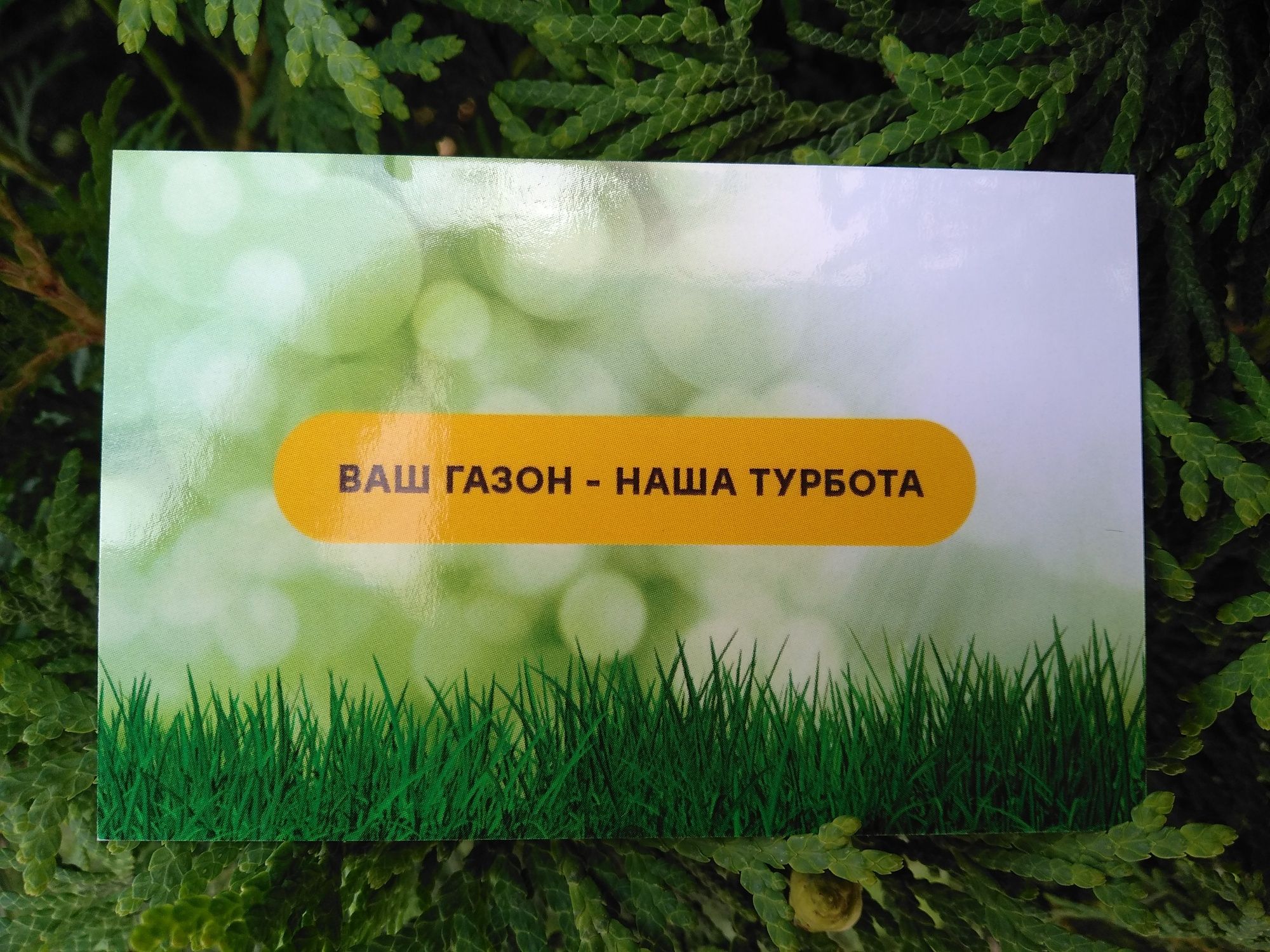 Косіння трави ,газонів,обрізка кущів,живоплотів.Косимо Футбольні поля.