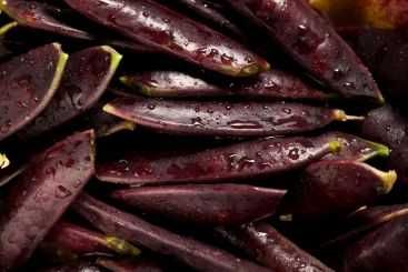 Semenes de Ervilha de vagem ROXA