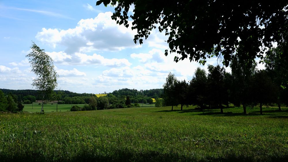 Działka Mazury niedaleko jeziora