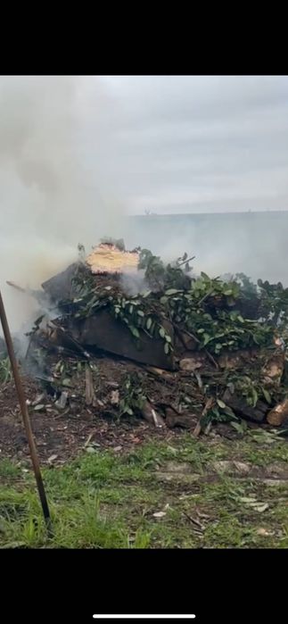 Requalificação de Jardins e Espaços Exteriores • Vale & Vale