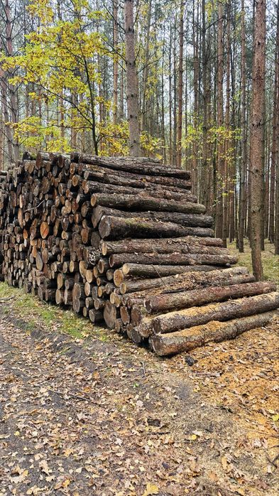 Drewno opałowe Olcha