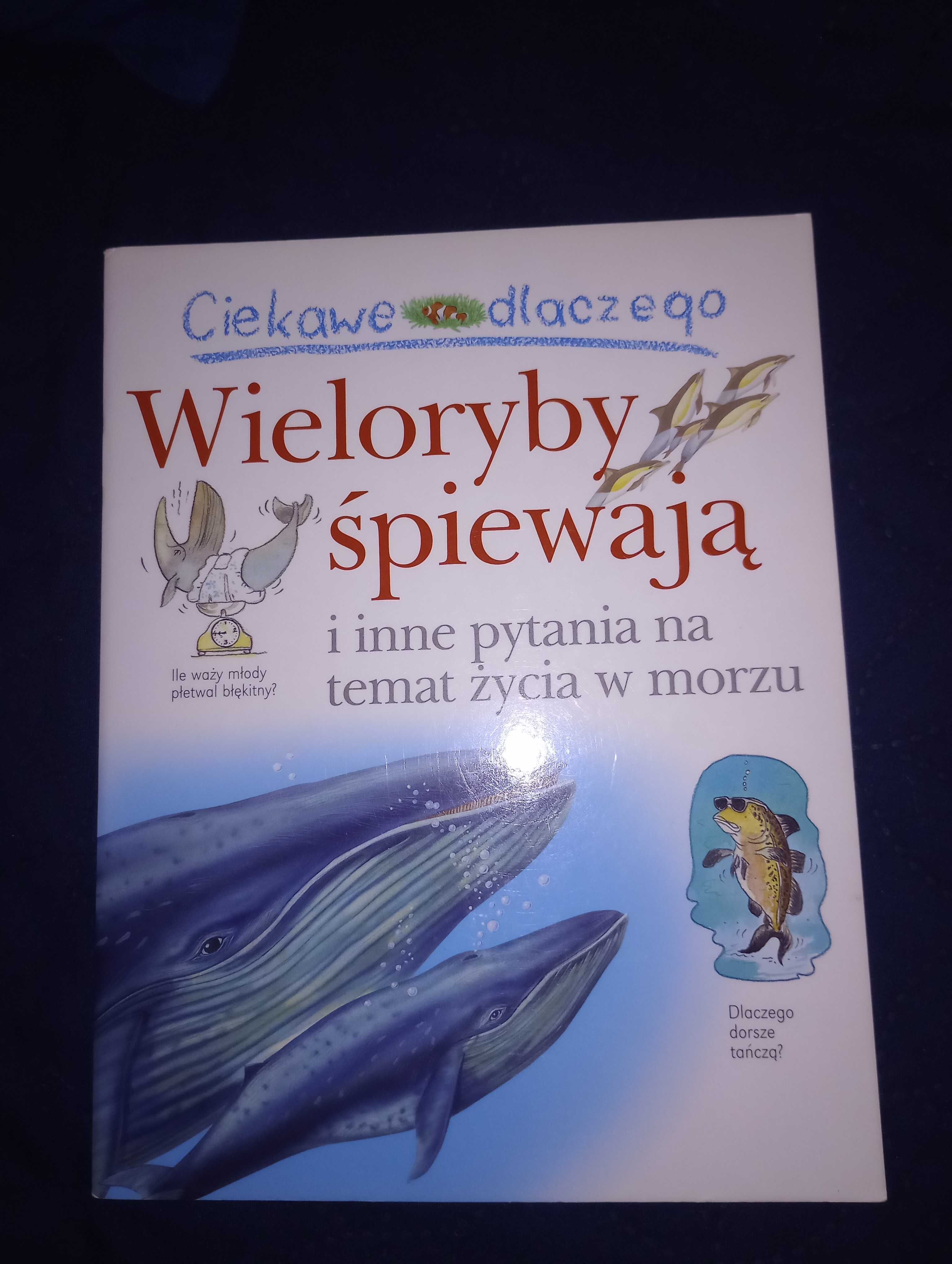 Samoloty mają skrzydła i inne pytania na temat transportu