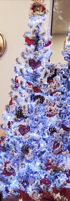 Árvore de Natal Novíssima ( Promoção)