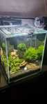 Zestaw Aquael Shrimp Set 30 l i wiele innych - polecam!