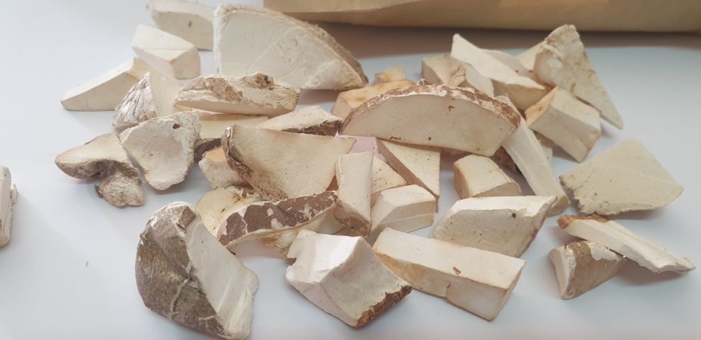 Białoporek brzozowy 50g suszony