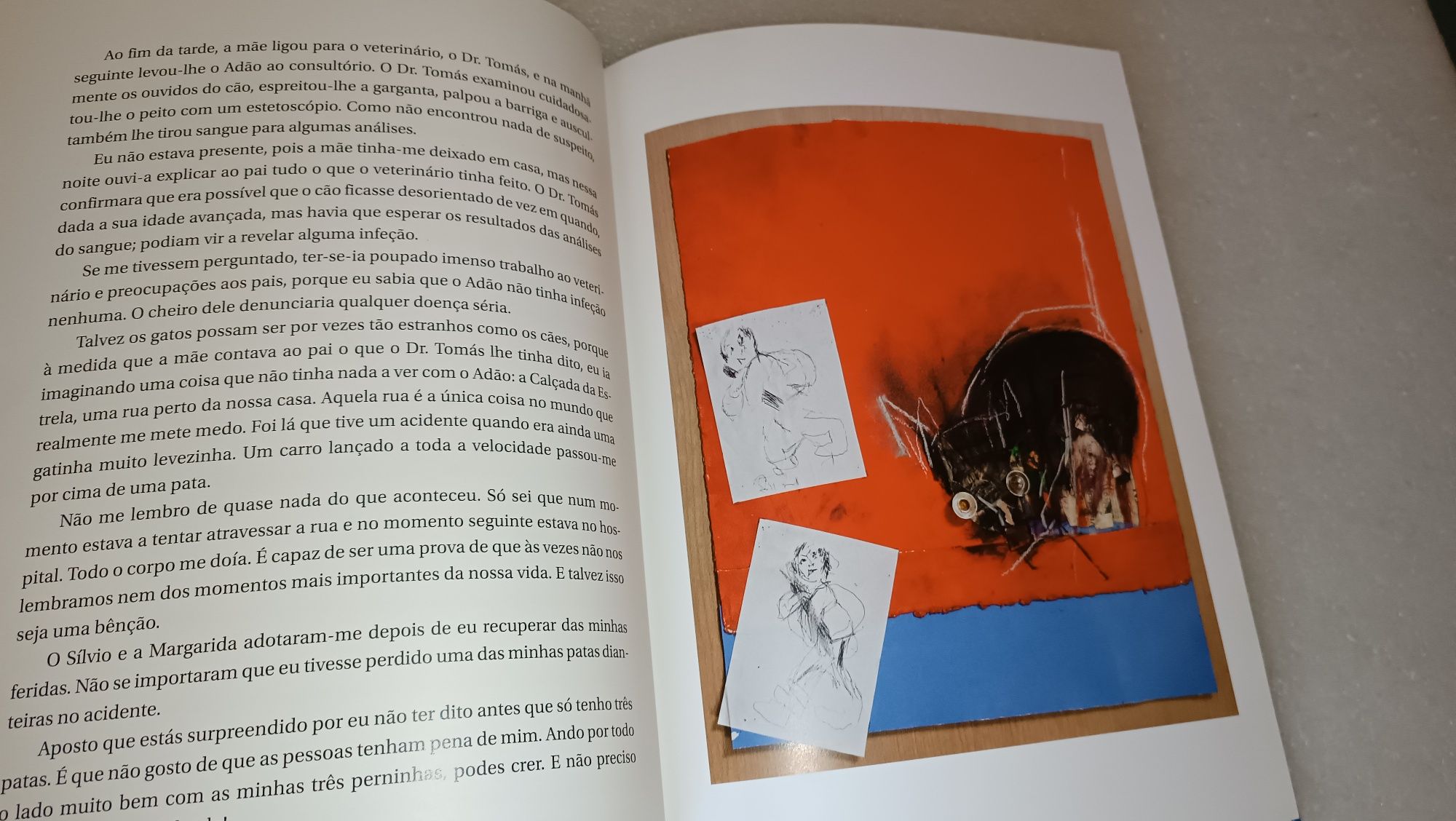 Livro com desenhos de Júlio Pomar 1 edição de 2016