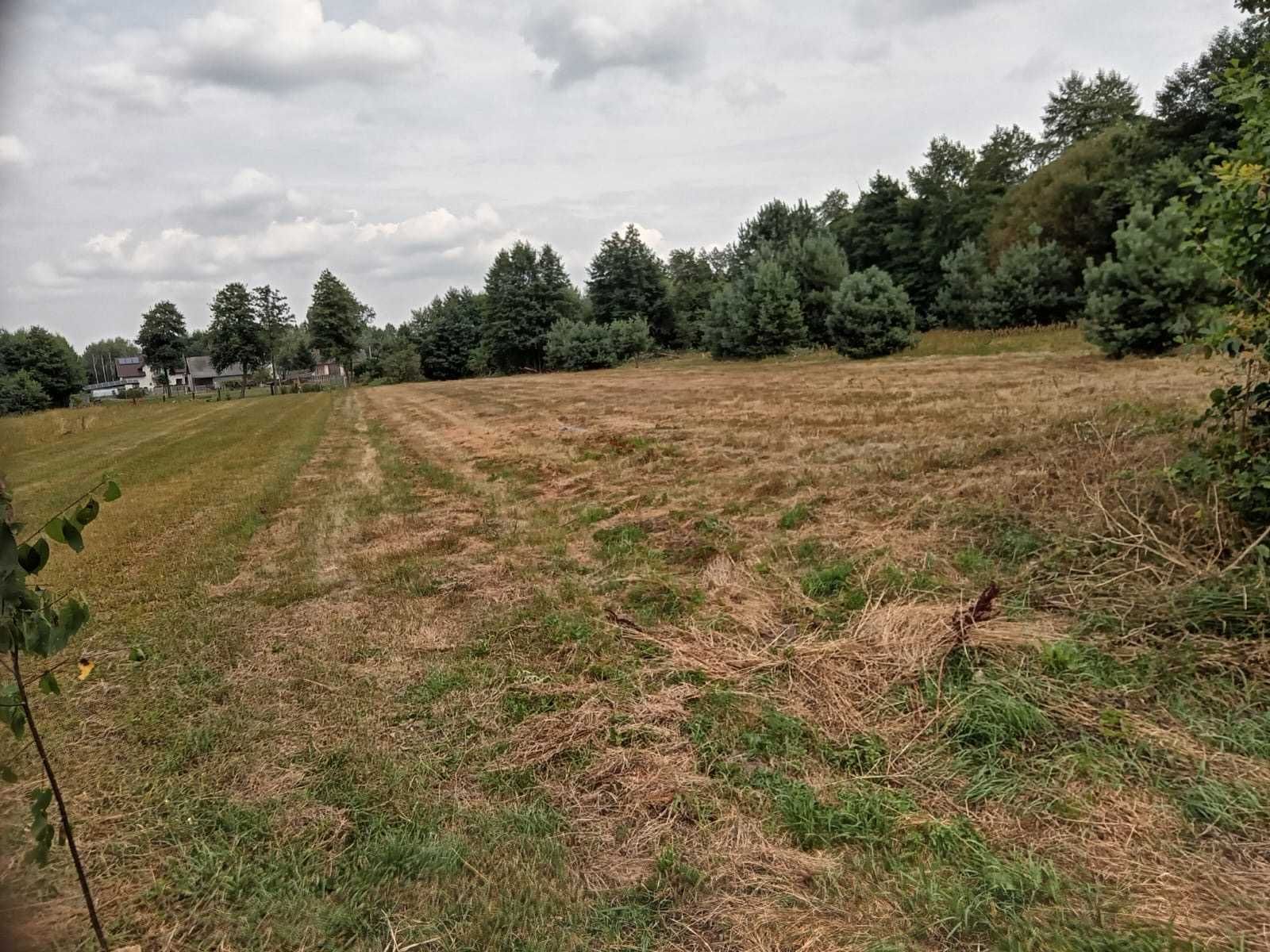 Działka budowlana Chruścice 28-400 Pińczów, świętokrzyskie