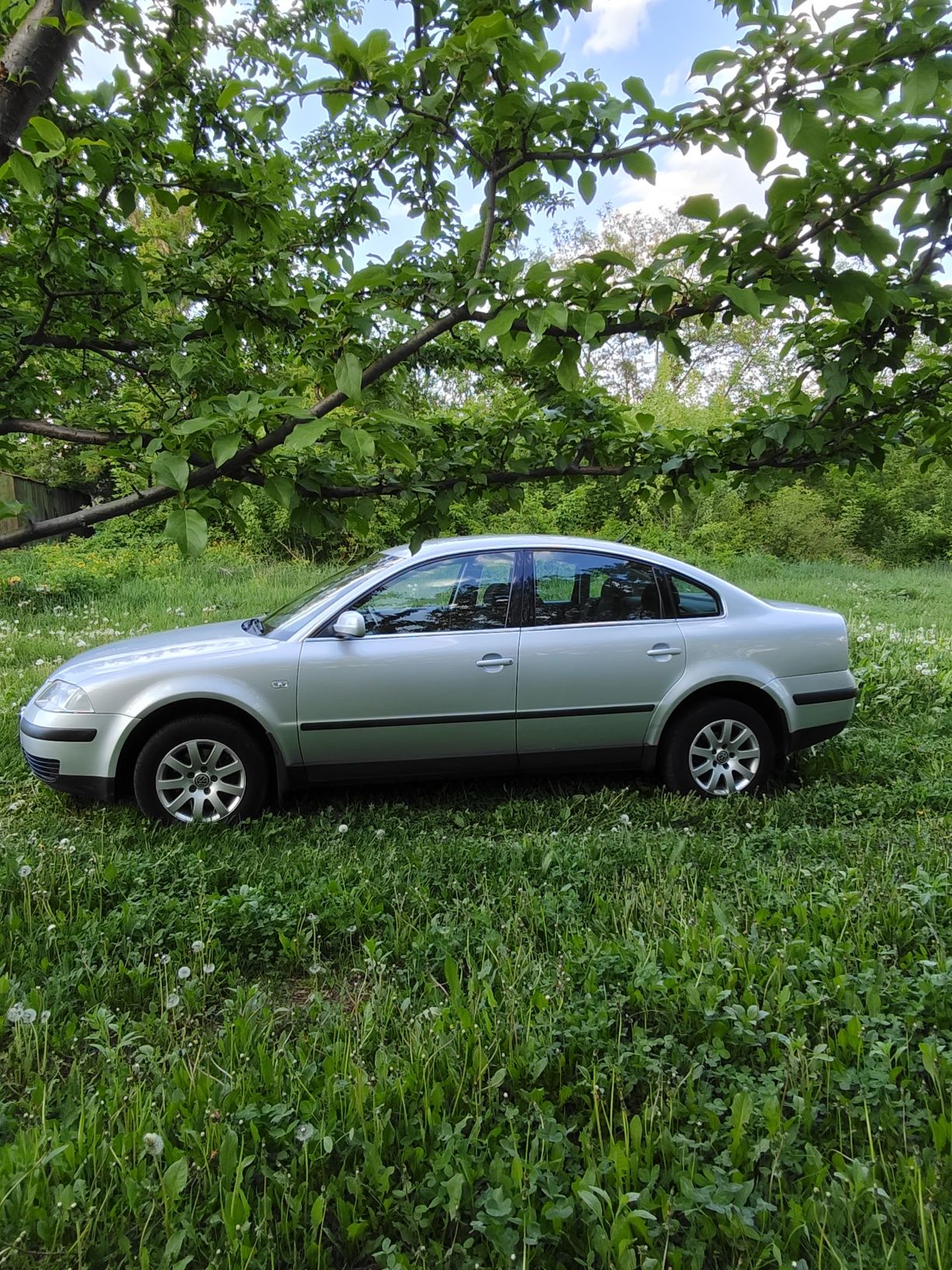 Volkswagen Passat B5+ 2001г. 
Пробег