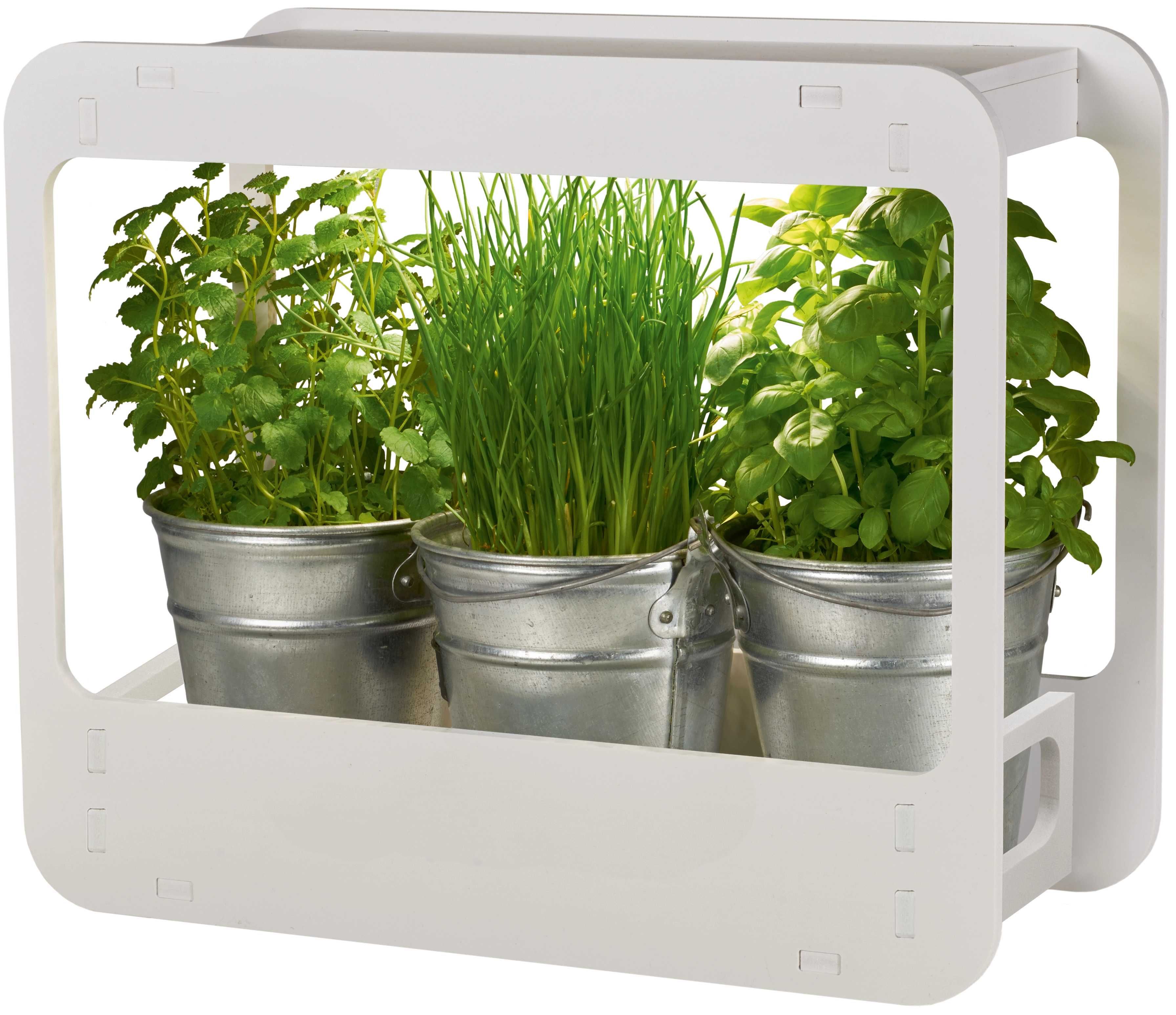 Kwietnik na zioła/rozsady/siewki z LED 900 lm | Stojak/box na rośliny