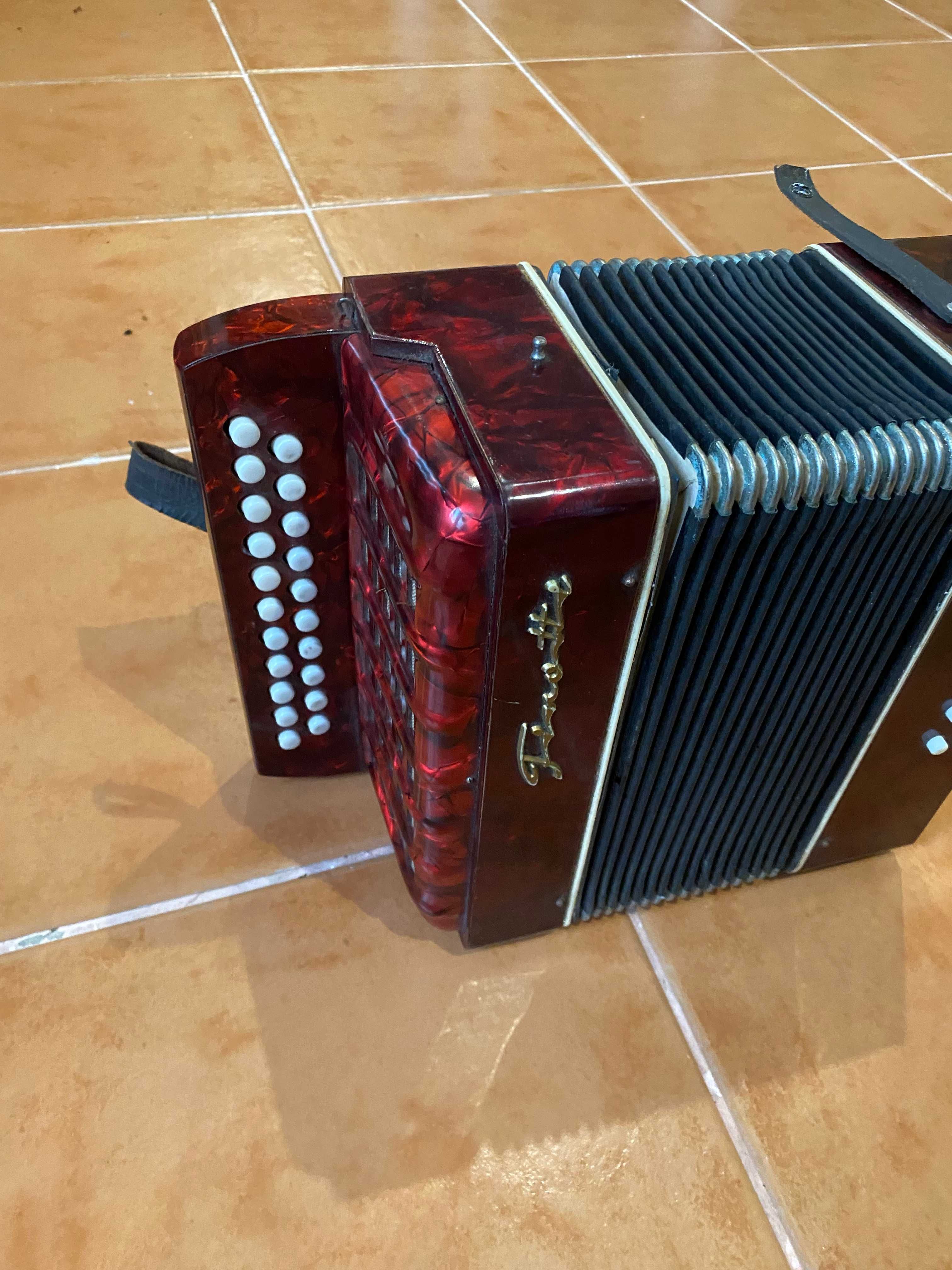 Concertina Finotti