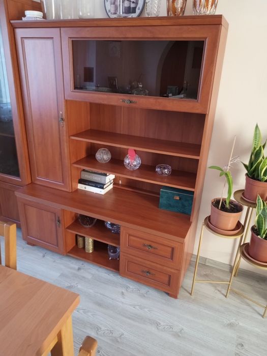 Komplet mebli do salonu