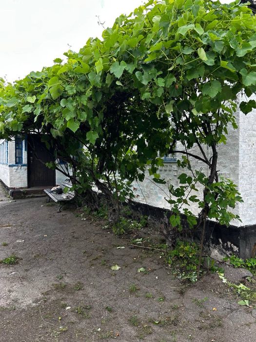 Будинок Рокитне центр