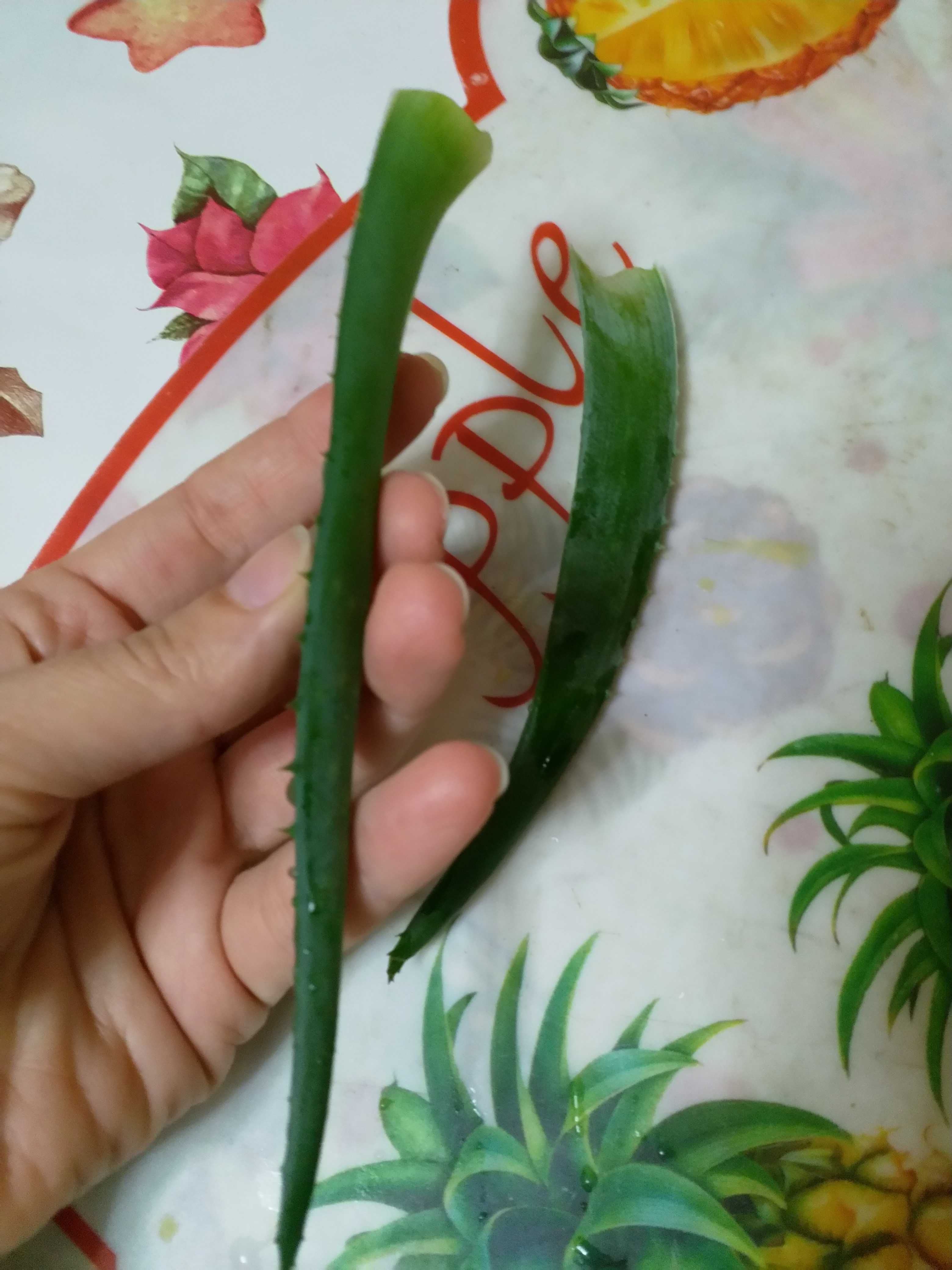 Продам листья Aloe Vera