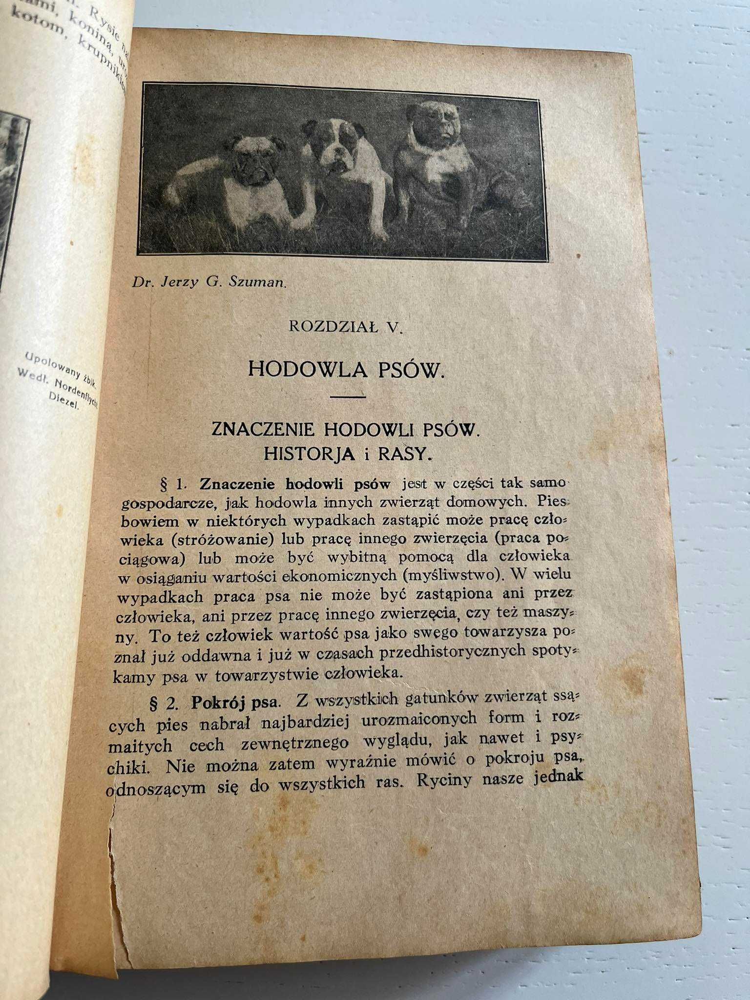 Moczarski Hodowla Zwierząt Tom III Toruń 1928