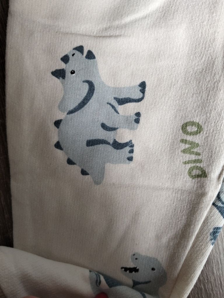 Dres chłopięcy dinozaury 98