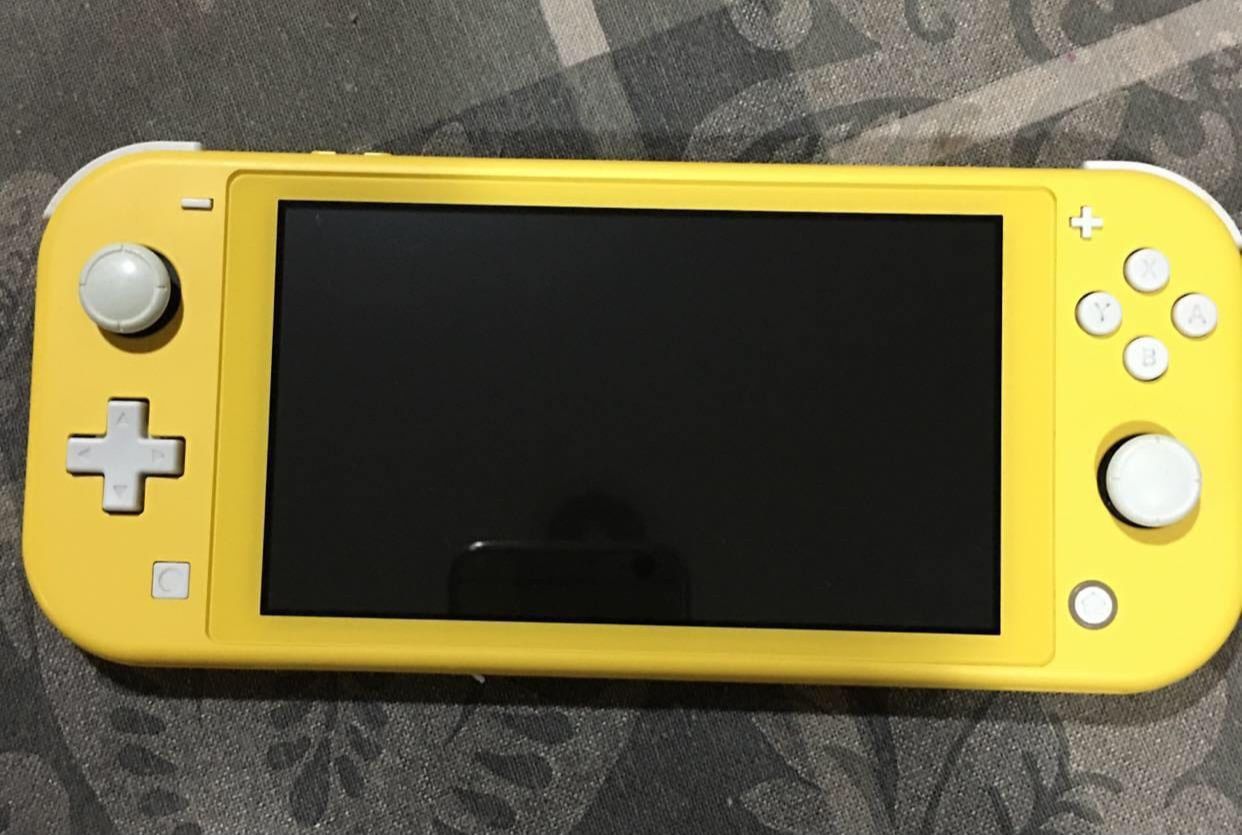 Nintendo switch lite