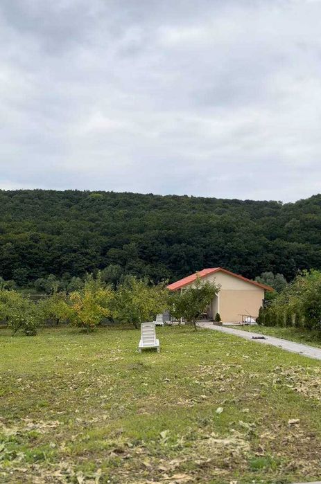 Будинок мрії на березі Дністра