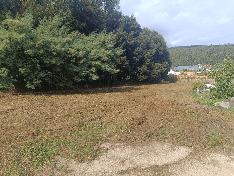 Limpeza de terrenos e jardins