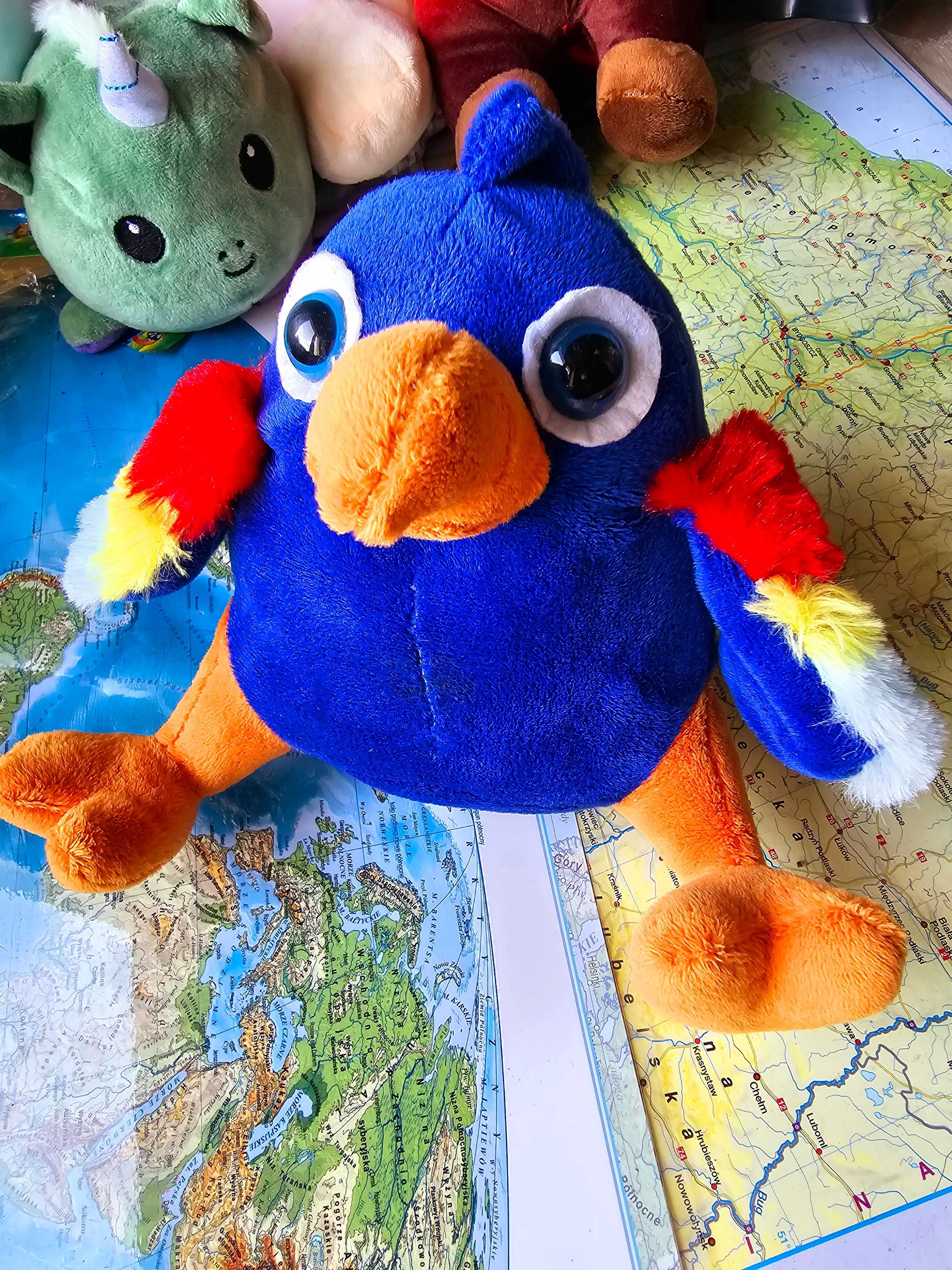 Niebieska pluszowa papuga zabawka dla dziecka nowa