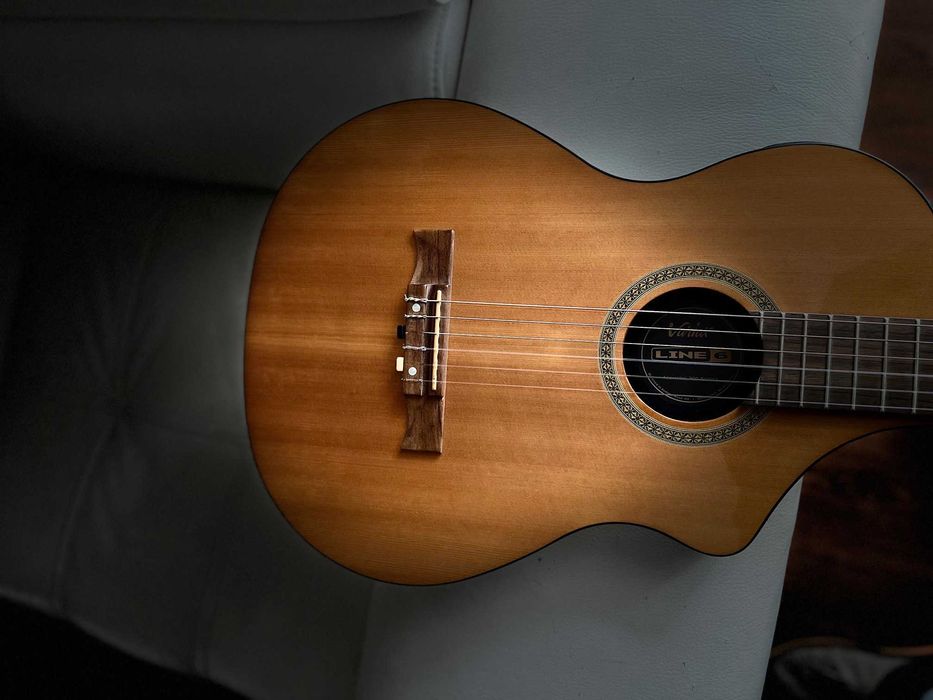 Line6 Variax 300 Acoustic Nylon