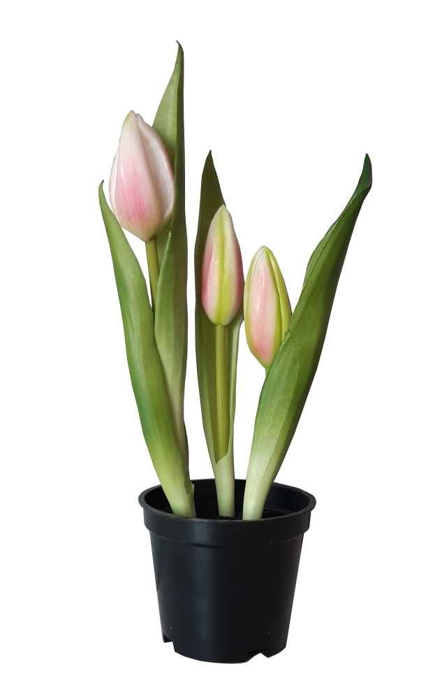 Tulipan w doniczce sztuczne tulipany silikonowe w osłonce kolory