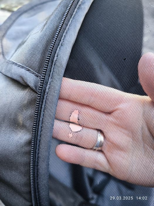 Коляска Britax прогулка