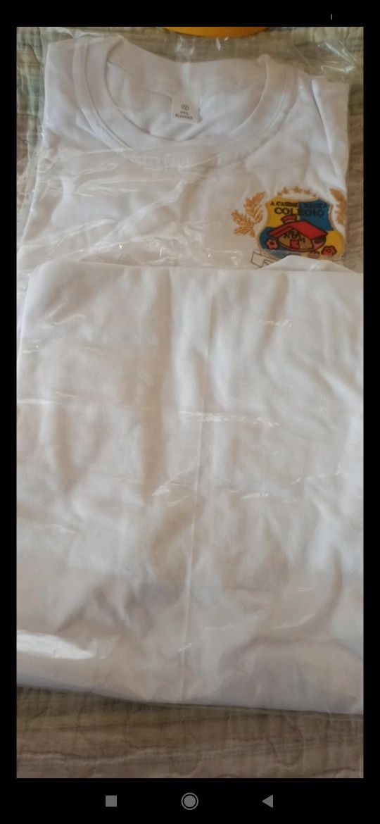 Casinha Magica colégio