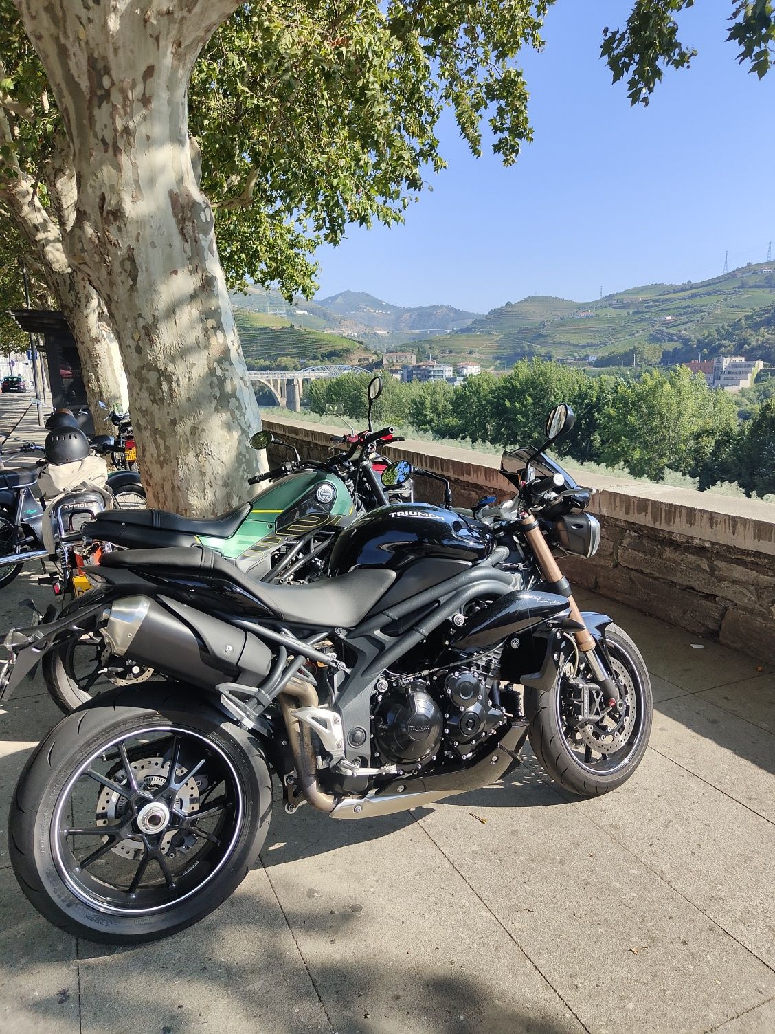 Triumph Speed Triple 1050 94