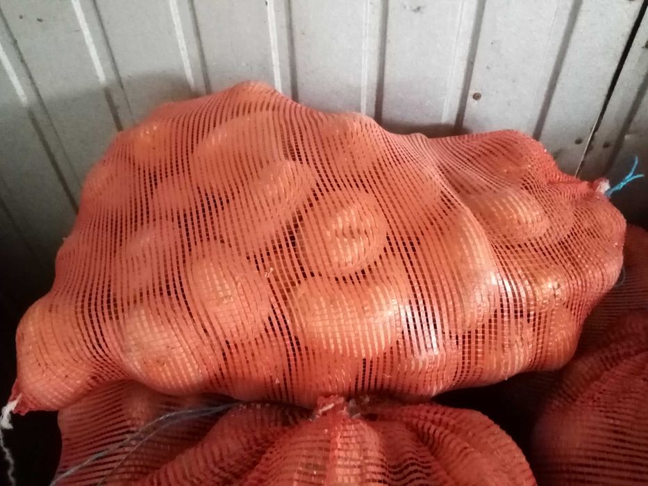 Sprzedam ziemniaki jadalne Jurek