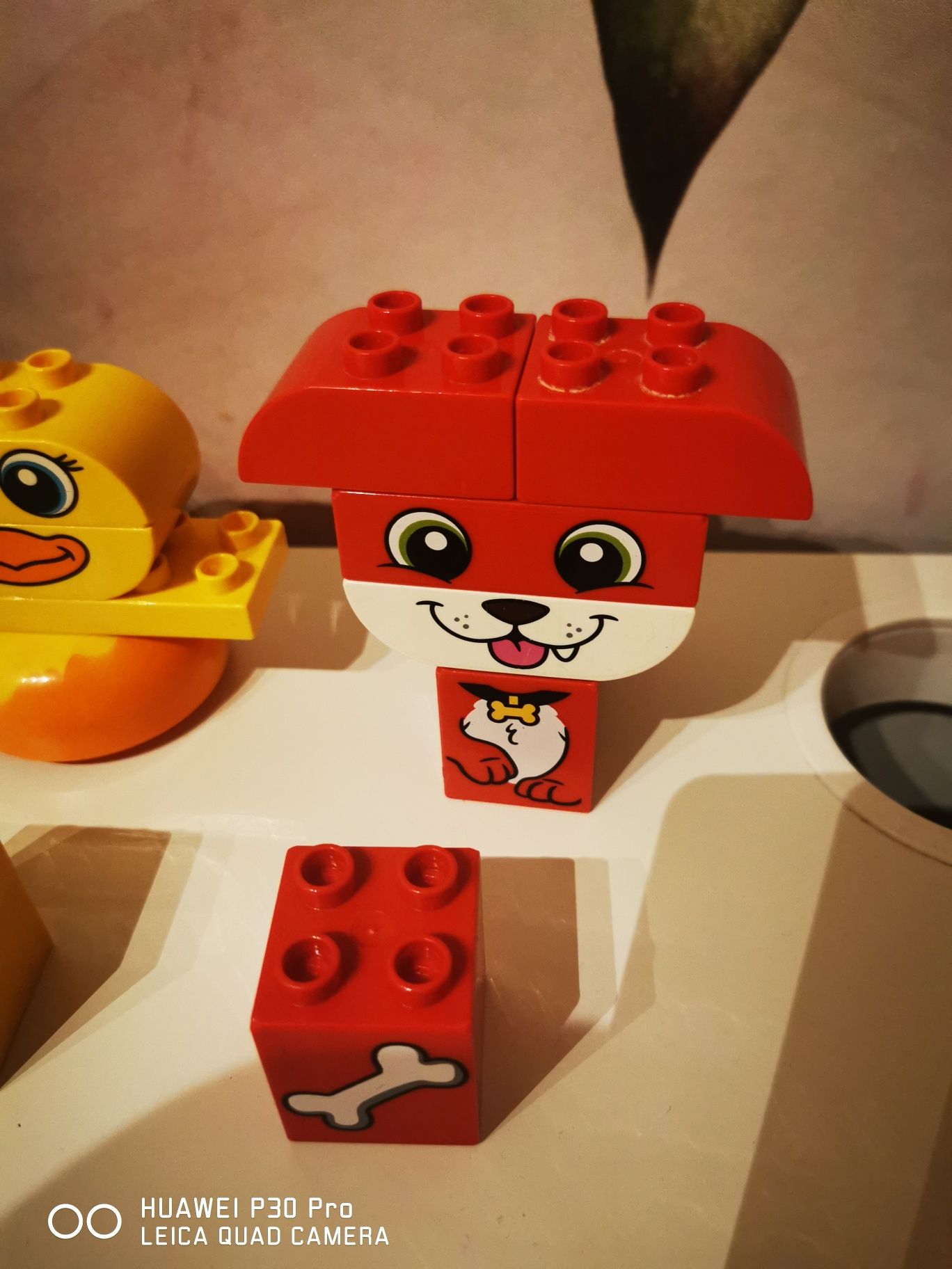 Lego duplo zwierzątka