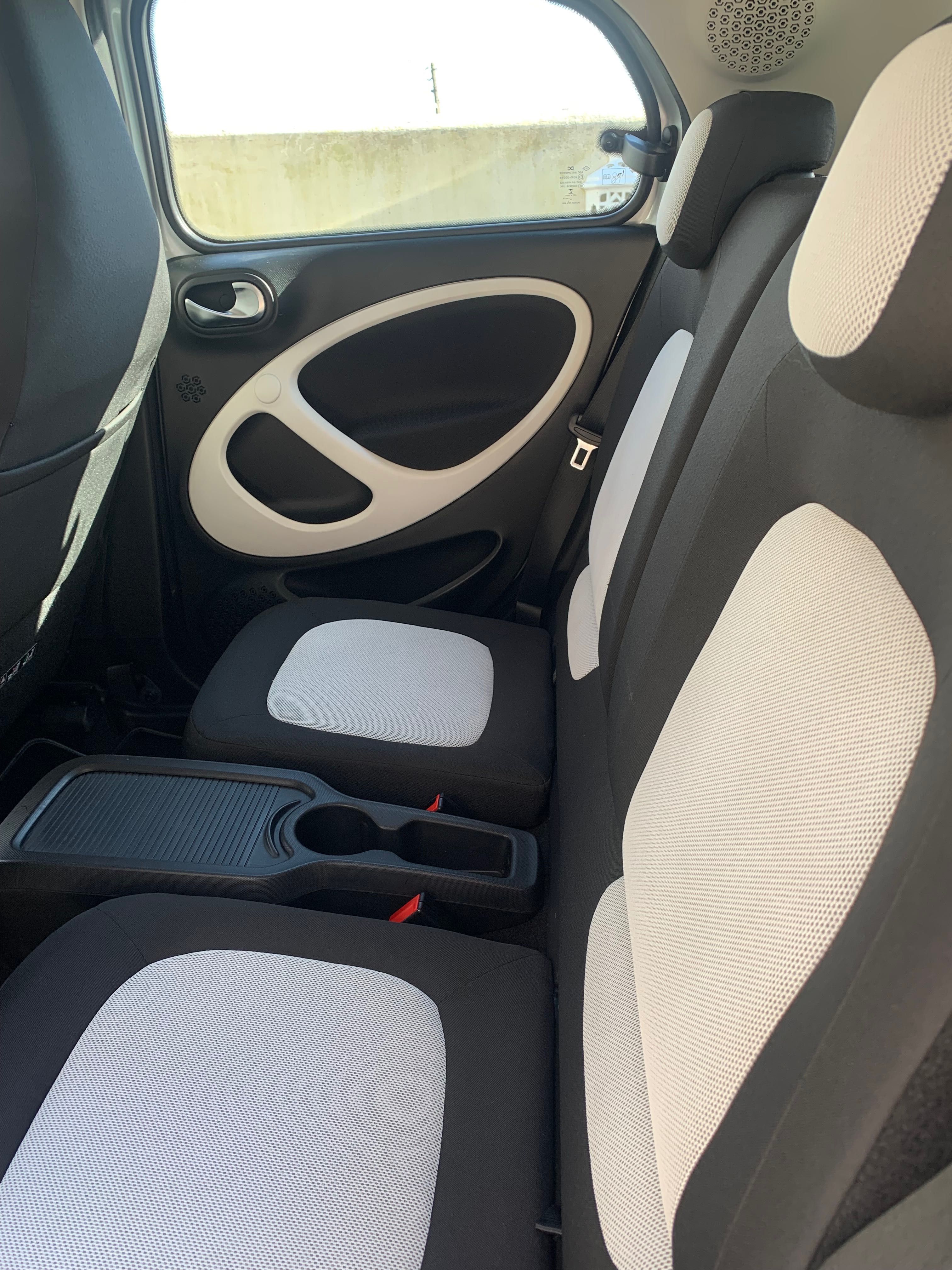 Smart Forfur 1.0 Passion 71