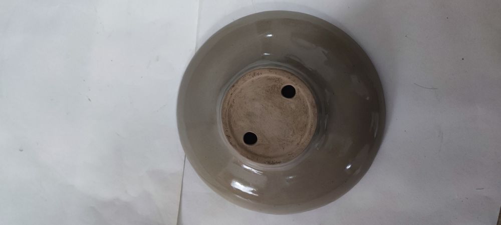 Настінна тарілка ЛКСФ